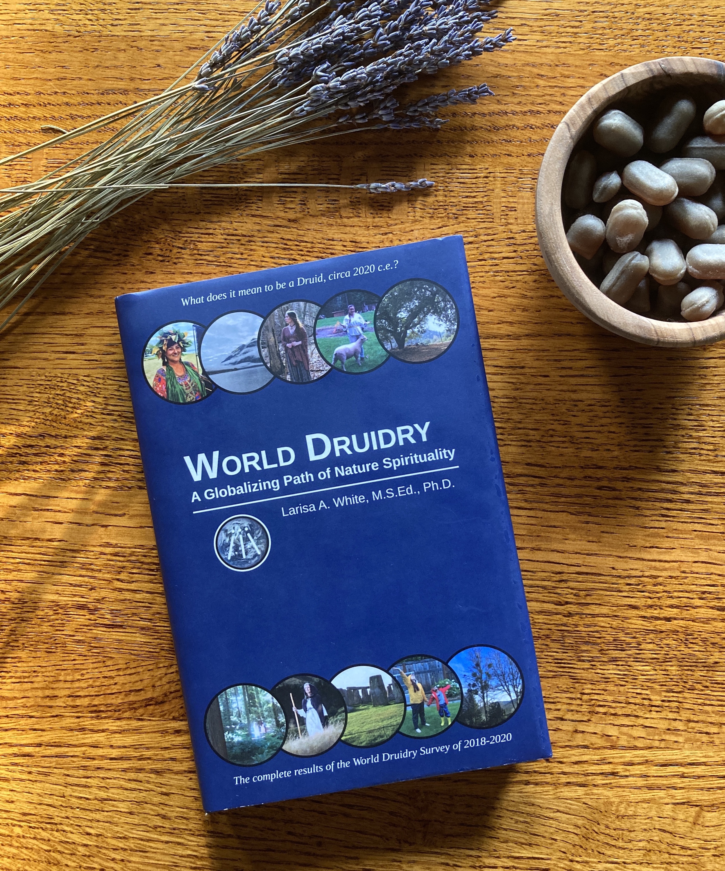 World Druidry book cover